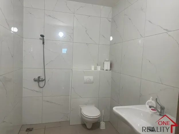 Pronájem ordinace, Napajedla, Dr. Beneše, 375 m2
