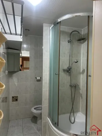 Pronájem bytu 1+1, Staré Město, Kopánky, 35 m2