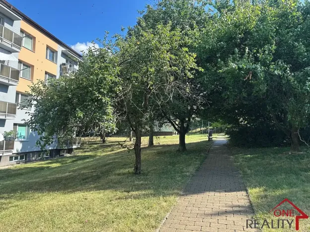 Pronájem bytu 1+1, Staré Město, Kopánky, 35 m2