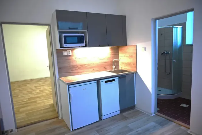 Pronájem výrobních prostor, Bílovice nad Svitavou, Obřanská, 249 m2