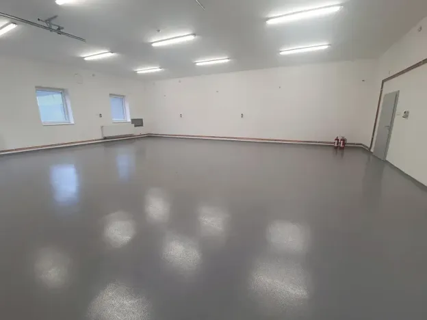 Pronájem výrobních prostor, Bílovice nad Svitavou, Obřanská, 249 m2