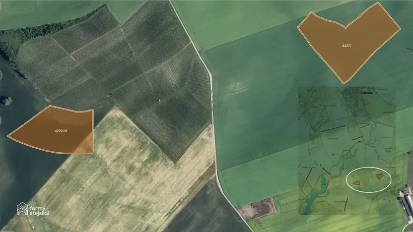 Prodej pole, Čejkovice, 194311 m2