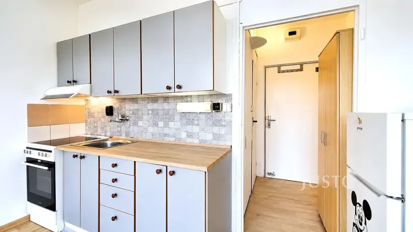 Pronájem bytu 1+kk, Písek, 17. listopadu, 19 m2