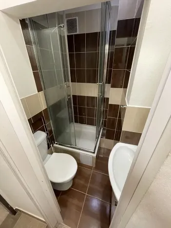 Pronájem bytu 1+kk, Praha - Žižkov, Zelenky-Hajského, 18 m2