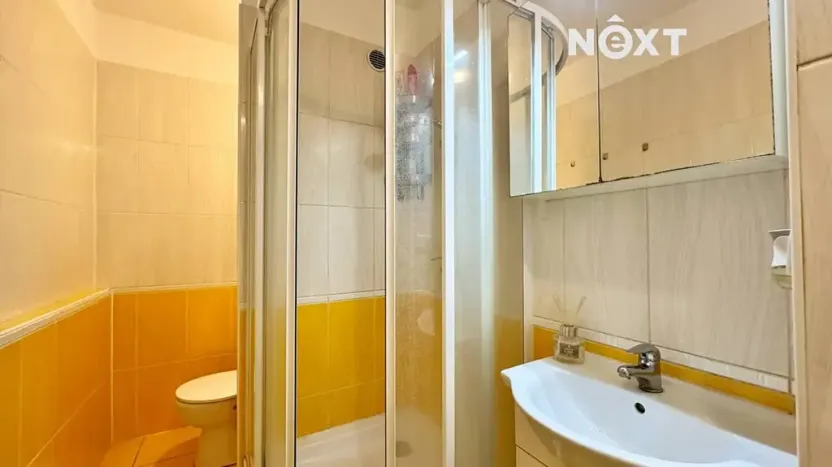 Prodej bytu 1+kk, Kroměříž, 17. listopadu, 29 m2