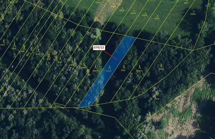Dražba lesa, Přerov, 1205 m2
