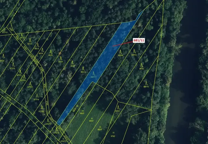 Dražba lesa, Přerov, 1480 m2