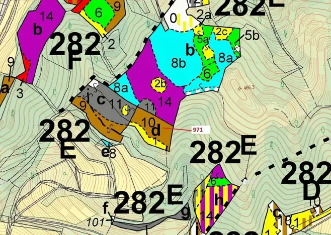Dražba lesa, Lhota Rapotina, 4308 m2