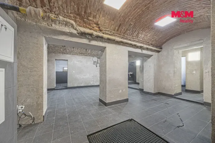Pronájem komerční nemovitosti, Praha, Seifertova, 100 m2