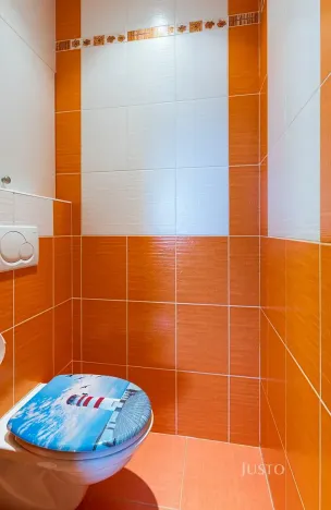 Pronájem bytu 2+1, Staré Město, Brněnská, 56 m2