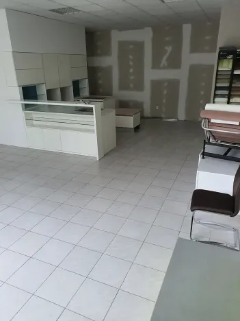 Pronájem obchodního prostoru, Jihlava, Havlíčkova, 60 m2