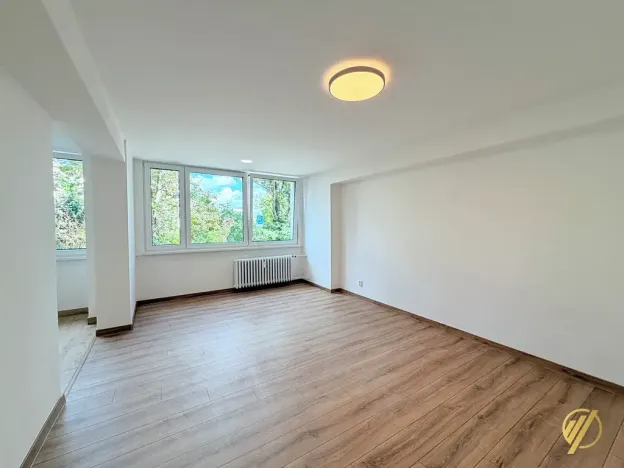 Prodej bytu 2+1, Mladá Boleslav, Purkyňova, 60 m2