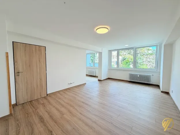 Prodej bytu 2+1, Mladá Boleslav, Purkyňova, 60 m2