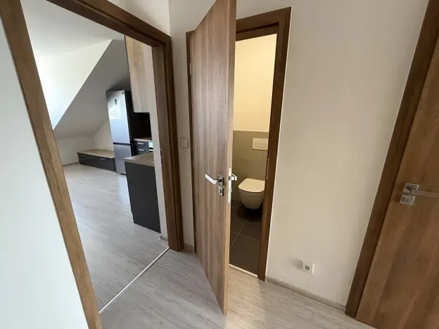 Pronájem bytu 2+kk, Brno, Letní, 56 m2