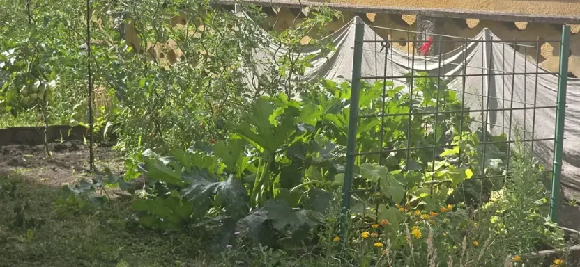 Prodej bytu 2+1, Česká Lípa, 49 m2