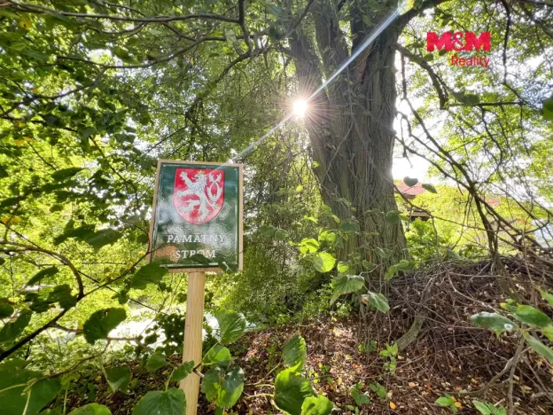 Prodej zemědělské usedlosti, Kostelec nad Černými lesy - Kostelec nad Černými Lesy, 750 m2
