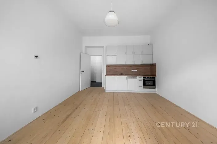 Pronájem bytu 1+kk, Praha - Nusle, Sezimova, 31 m2