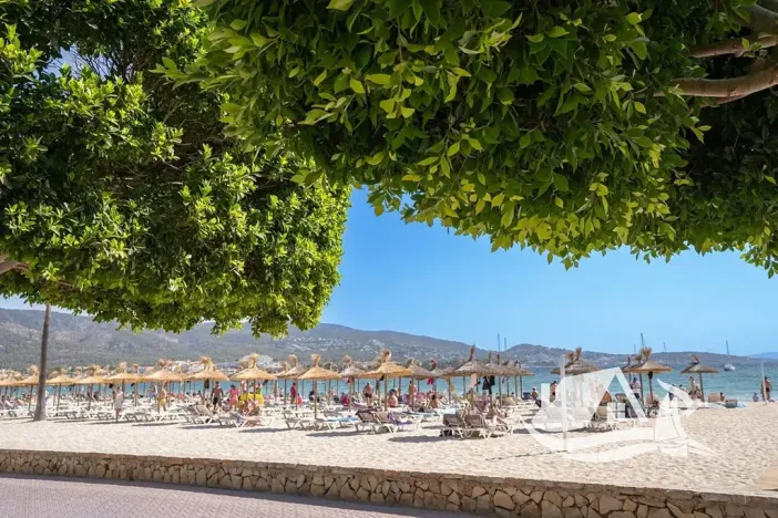 Prodej bytu 3+kk, Palma Nova, Španělsko, 65 m2