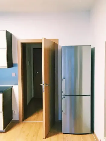Pronájem bytu 1+kk, Praha - Dejvice, Lindleyova, 42 m2