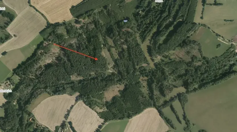 Prodej lesa, Koberovice, 19133 m2
