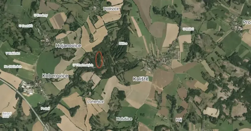 Prodej lesa, Koberovice, 19133 m2