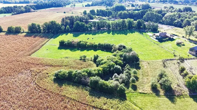 Prodej pozemku pro bydlení, Albrechtice nad Orlicí, 3829 m2
