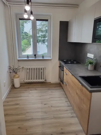 Pronájem bytu 2+1, Brno, Preslova, 50 m2