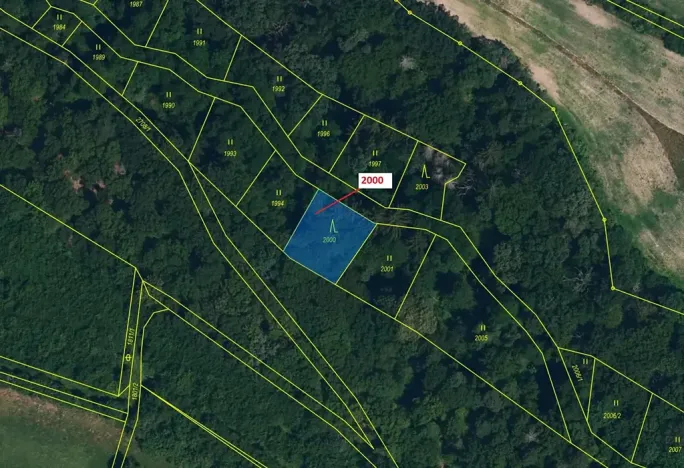 Dražba lesa, Hluboké Mašůvky, 504 m2
