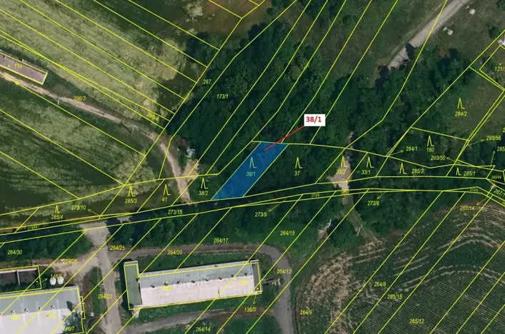 Dražba lesa, Horní Dunajovice, 245 m2