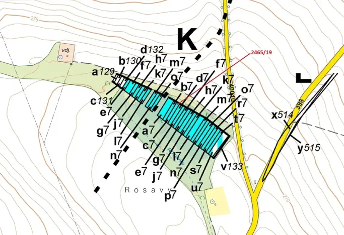 Dražba lesa, Horní Dunajovice, 247 m2