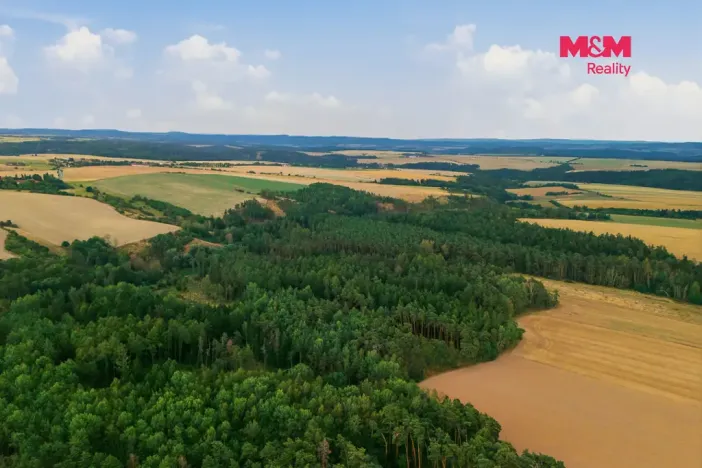 Prodej lesa, Břežany, 3520 m2