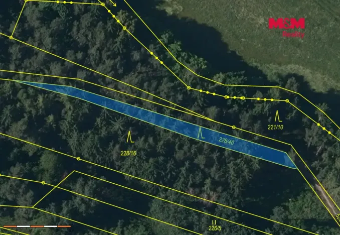 Prodej lesa, Břežany, 3520 m2