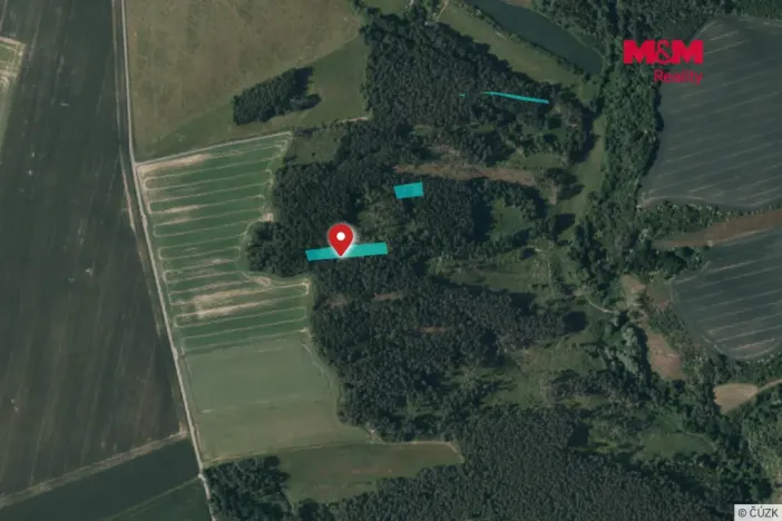 Prodej lesa, Břežany, 3520 m2