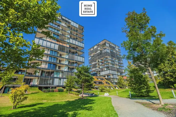 Prodej bytu 2+kk, Praha - Žižkov, Pitterova, 45 m2