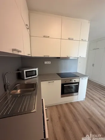 Pronájem bytu 1+1, Praha - Vinohrady, Řipská, 40 m2