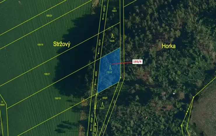 Dražba lesa, Kojetice, 654 m2