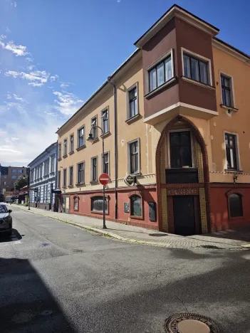 Prodej komerční, Ostrava - Moravská Ostrava, Janáčkova, 165 m2