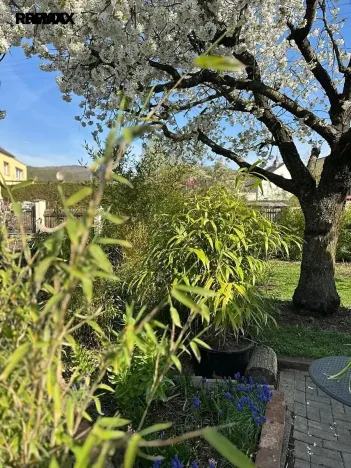 Prodej rodinného domu, Hrob, 80 m2