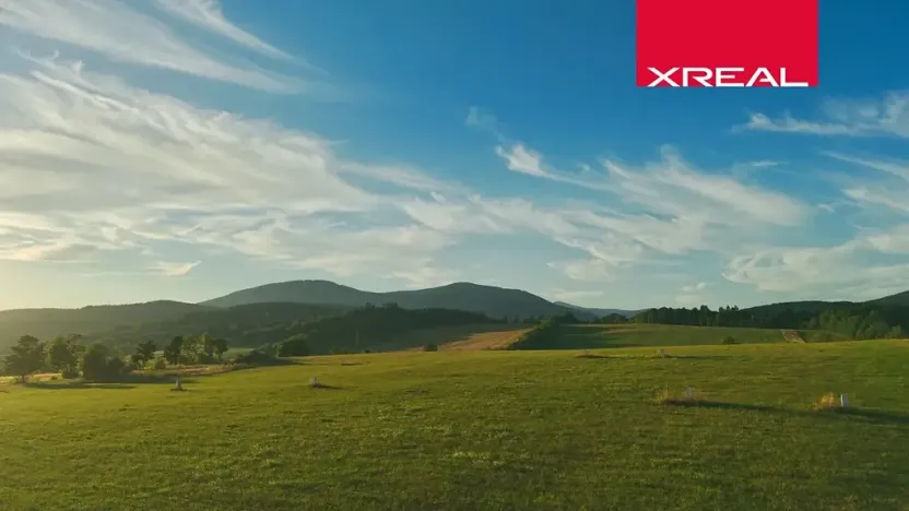 Prodej komerčního pozemku, Mladé Buky, 114943 m2