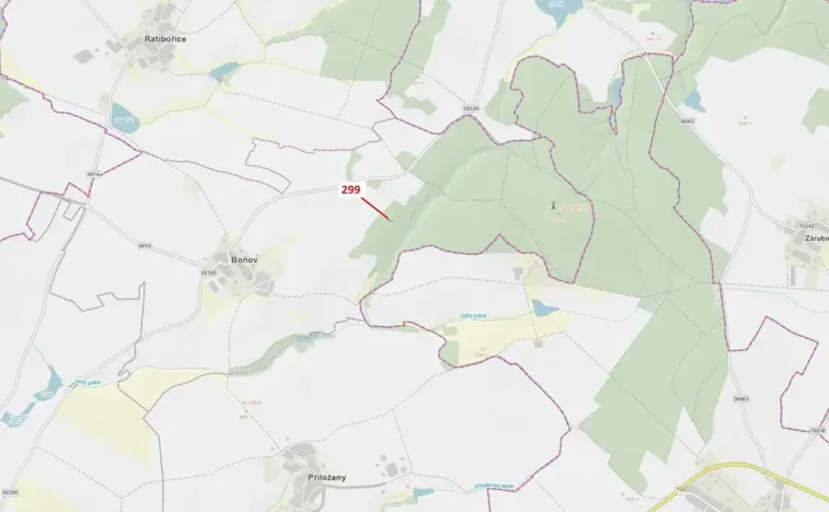 Dražba lesa, Jaroměřice nad Rokytnou, 482 m2