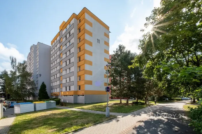 Prodej bytu 3+1, České Budějovice - České Budějovice 2, Netolická, 67 m2