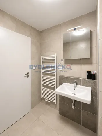 Prodej bytu 1+kk, České Budějovice, Nová, 38 m2