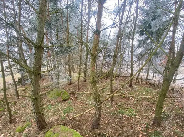 Prodej pole, Slatina, 13059 m2