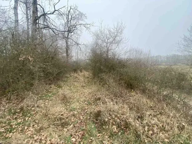 Prodej pole, Slatina, 13059 m2