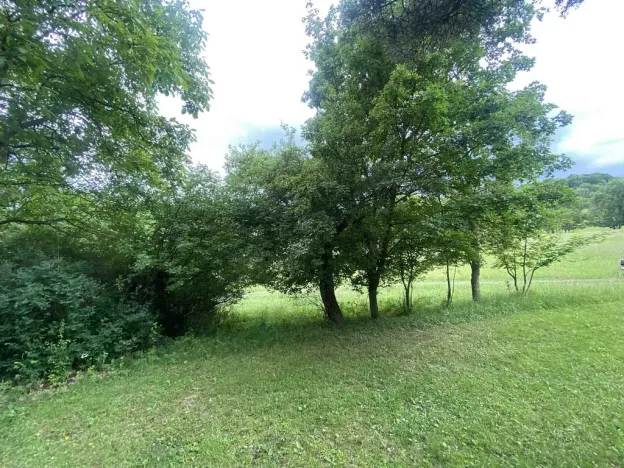 Prodej pozemku, Třebívlice - Skalice, 343 m2