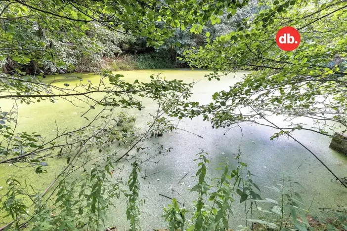 Prodej rodinného domu, Stružná, 240 m2