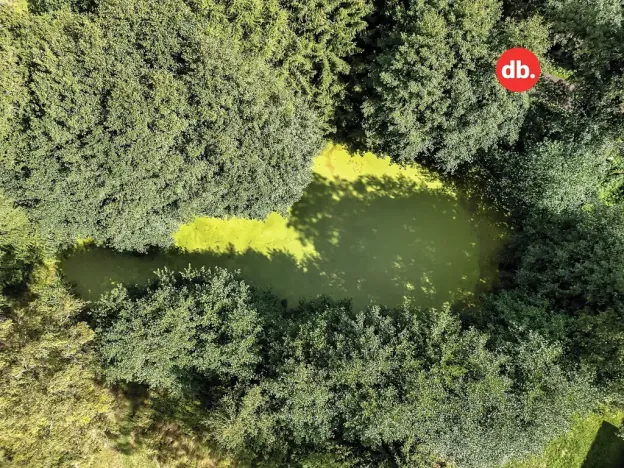 Prodej rodinného domu, Stružná, 240 m2