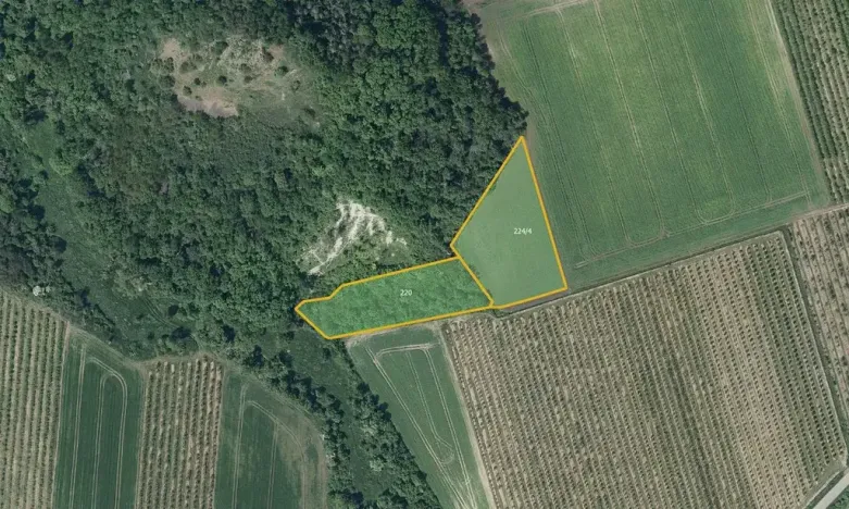 Prodej pole, Želkovice, 28919 m2