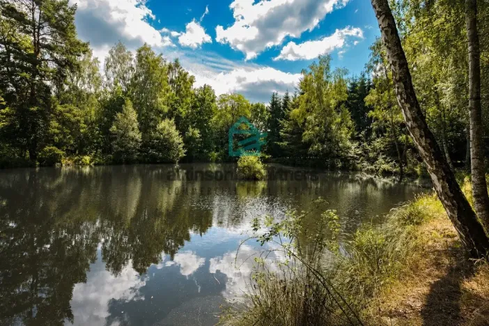 Prodej pozemku, Benešov nad Černou - Klení, 6805 m2