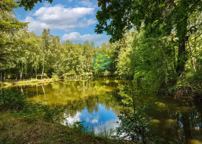 Prodej pozemku, Benešov nad Černou - Klení, 6805 m2